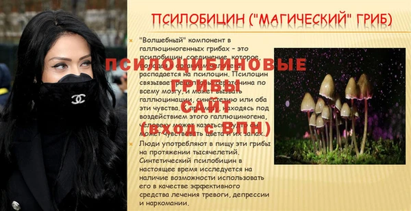 бошки Арсеньев